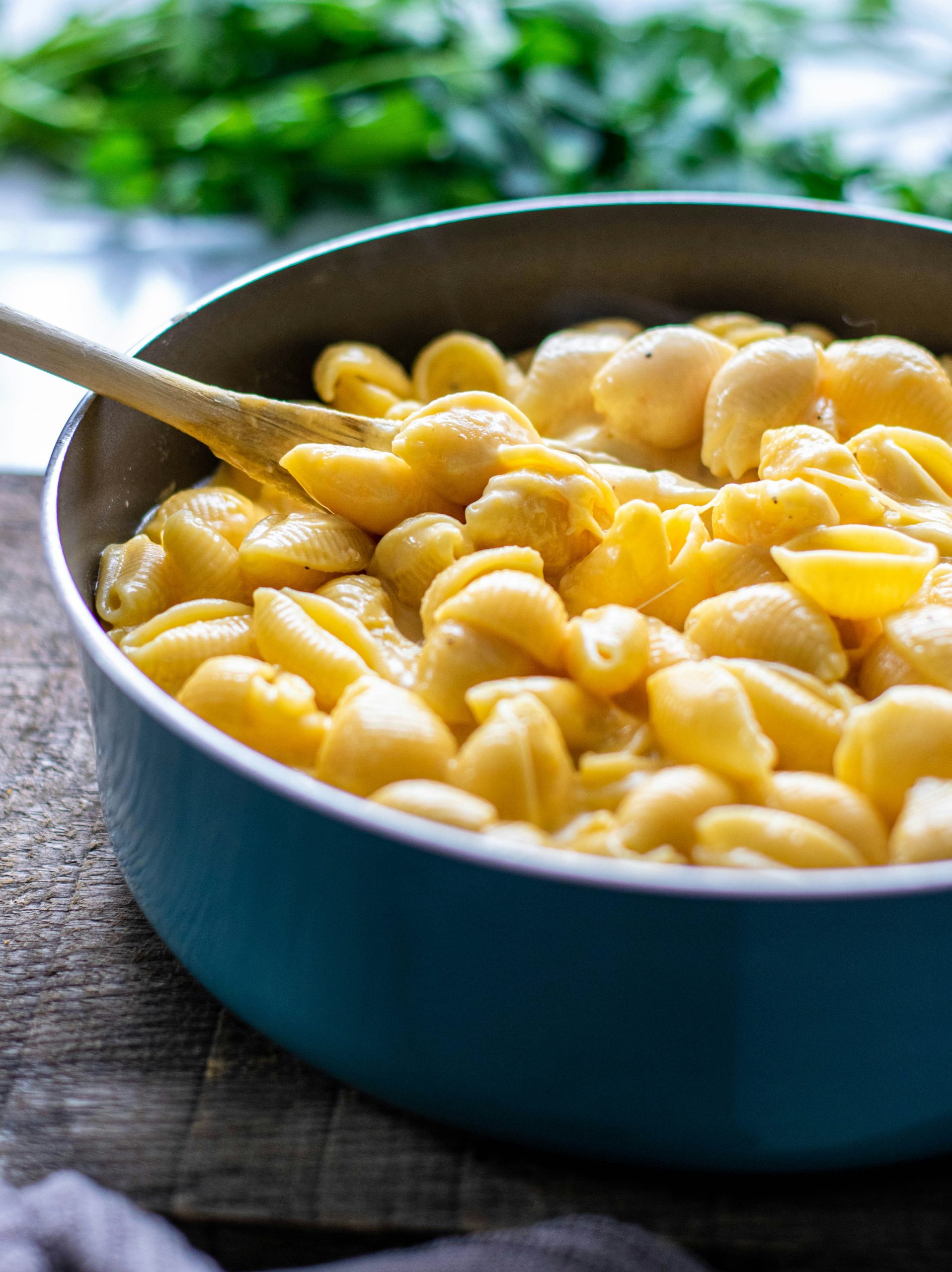 A bowl of mac & cheese.